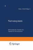 Nervensystem Nervensystem