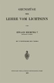Grundzüge der Lehre vom Lichtsinn