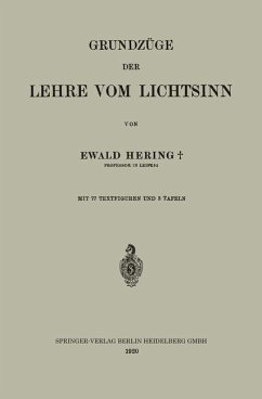 Grundzüge der Lehre vom Lichtsinn - Hering, Ewald