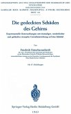 Die gedeckten Schäden des Gehirns