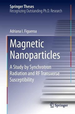 Magnetic Nanoparticles - Figueroa, Adriana I.