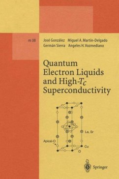 Quantum Electron Liquids and High-Tc Superconductivity - Vozmediano, Angeles H.;Martin-Delgado, Miguel A.;Gonzalez, Jose