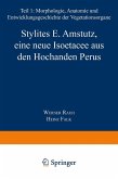Stylites E. Amstutz, eine neue Isoëtacee aus den Hochanden Perus