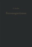 Ferromagnetismus Ferromagnetismus