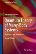Quantum Theory of Many-Body Systems - Bild 1