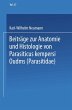 Beiträge zur Anatomie und Histologie... - Bild 1