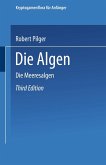 Die Algen Die Algen