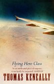 Flying Hero Class (eBook, ePUB)