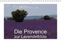 Die Provence zur Lavendelblüte (Wandkalender immerwährend DIN A4 quer) - Schröder, Susanne; Schröder, S.; Werbeagentur, k.A.