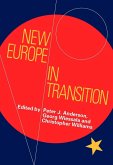 New Europe in Transition (eBook, PDF)