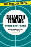 Witness Before the Fact (eBook, ePUB)