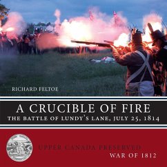 A Crucible of Fire (eBook, ePUB) - Feltoe, Richard