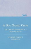 A Dog Named Chips - The Life and Adventures of a Mongrel Scamp (eBook, ePUB)