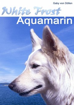 White Frost - Aquamarin (eBook, ePUB)