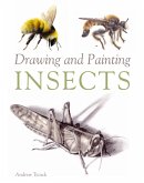 Drawing and Painting Insects (eBook, ePUB)