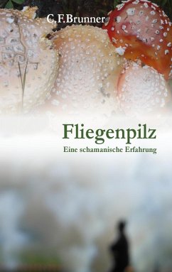 Fliegenpilz (eBook, ePUB) - Brunner, Christian Friedrich