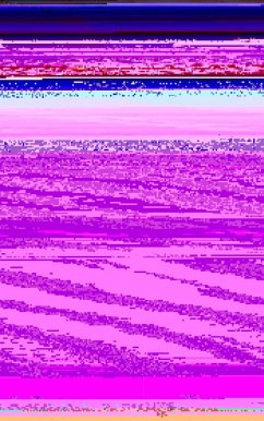 Anthony (eBook, ePUB) - Fischel, Harold J.