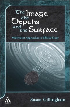 Cover The Image, the Depths and the Surface (eBook, PDF)