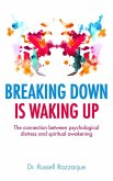 Breaking Down is Waking up (eBook, ePUB)