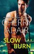 Slow Burn (eBook, ePUB) - Bild 1