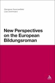 New Perspectives on the European Bildungsroman (eBook, PDF)