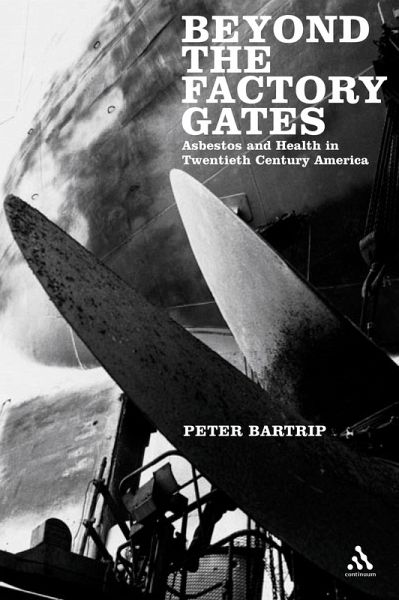 Beyond the Factory Gates (eBook, PDF) Beyond the Factory Gates (eBook, PDF)