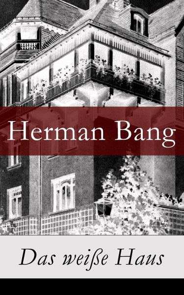 Das weiße Haus (eBook, ePUB)