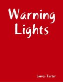Warning Lights (eBook, ePUB)