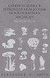 Common Edible and Poisonous Mushrooms... - Bild 1