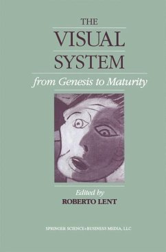 The Visual System from Genesis to Maturity