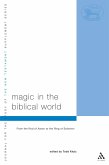 Magic in the Biblical World (eBook, PDF)