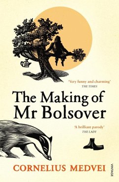 Cover The Making Of Mr Bolsover (eBook, ePUB)