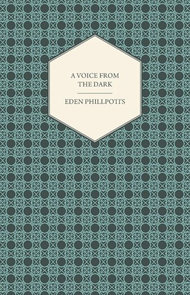 A Voice from the Dark (eBook, ePUB) A Voice from the Dark (eBook, ePUB)