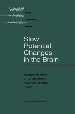 Slow Potential Changes in the Brain - Haschke;Speckmann