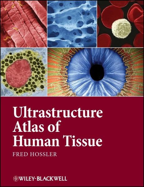 Ultrastructure Atlas of Human Tissues (eBook, PDF)