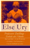 Professors Zwillinge - Enthält alle 5 Bände (eBook, ePUB)