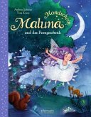 Maluna Mondschein und das Feengeschenk / Maluna Mondschein Bd.4