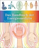 Das Handbuch der Energiemedizin (eBook, ePUB)