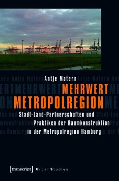Mehrwert Metropolregion (eBook, PDF) - Matern, Antje