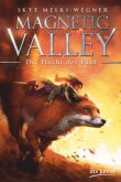 Die Flucht der Fünf / Magnetic Valley Bd.1