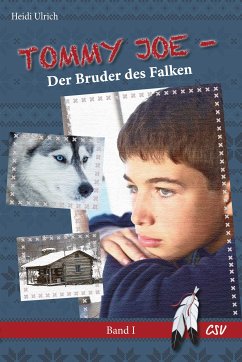 Der Bruder des Falken - Heidi Ulrich