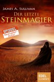 Der letzte Steinmagier (eBook, ePUB)