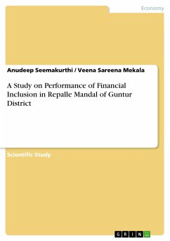 A Study on Performance of Financial Inclusion in Repalle Mandal of Guntur District (eBook, PDF) - Seemakurthi, Anudeep; Mekala, Veena Sareena