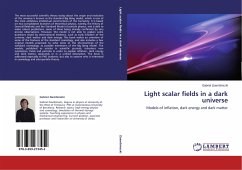 Light scalar fields in a dark universe