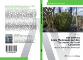 Der Einfluss César Manriques auf den Tourismus der Insel Lanzarote