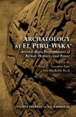 Archaeology at El Perú-Waka': Ancient Maya Performances of Ritual, Memory, and Power