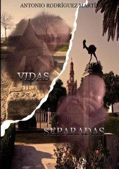 Vidas separadas - Rodríguez Martín, Antonio