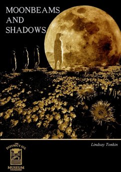 Moonbeams and Shadows - Tonkin, Lindsay