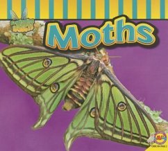 Moths - Carr, Aaron