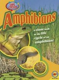 Amphibians